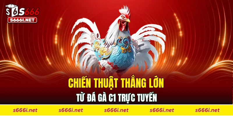 Chiến thuật thắng lớn từ đá gà C1 trực tuyến