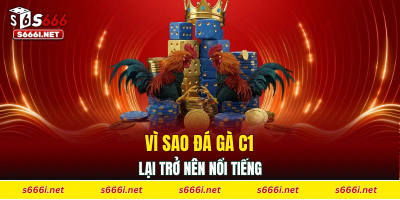 Vì sao đá gà C1 lại trở nên nổi tiếng